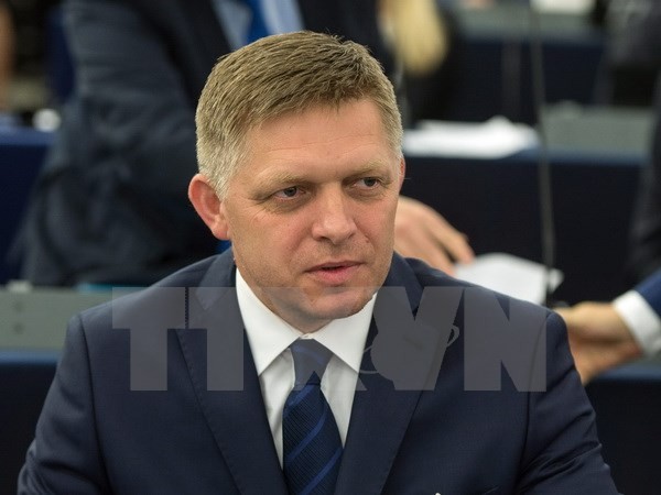 Slovakia’s Prime Minister begins official visit to Vietnam - ảnh 1
